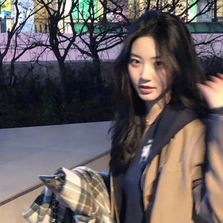 我的疯狂书迷